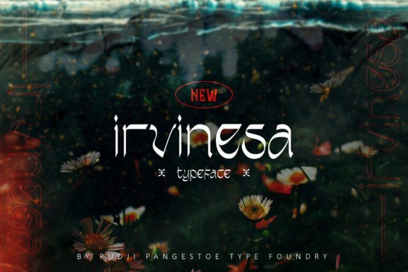 Discover the Charm of Irvinesa: A Unique Display Font