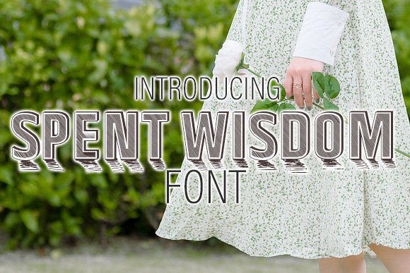 Spent Wisdom: The Perfect Retro Display Font for Your Brand